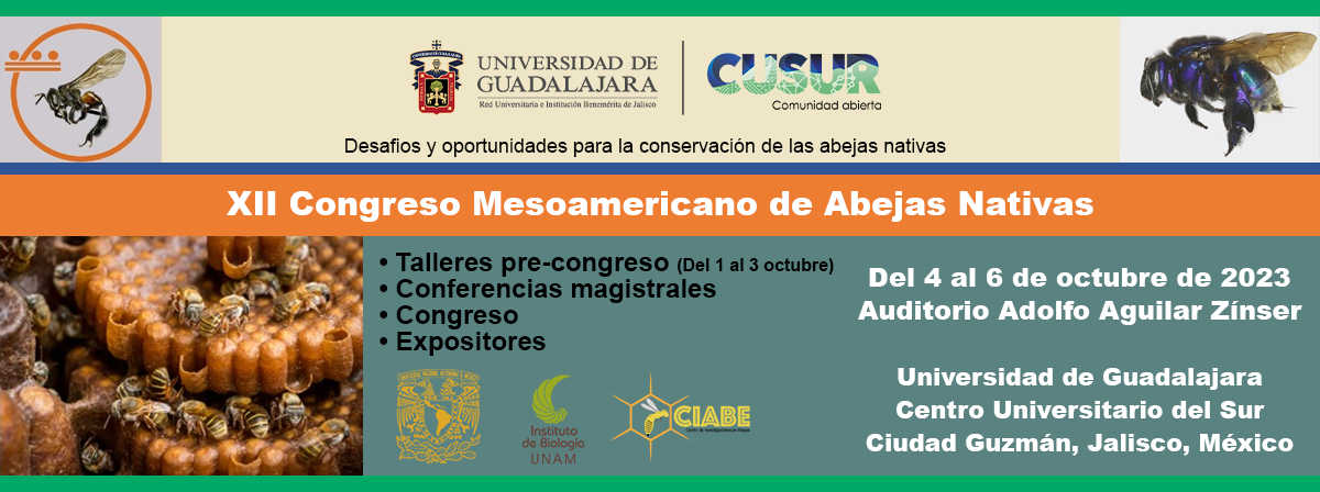 Invitación Treceavo Congreso Mesoamericano de Abejas Nativas