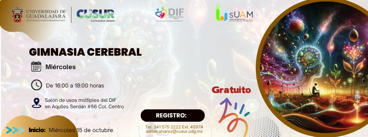 Curso Gimnasia cerebral DIF