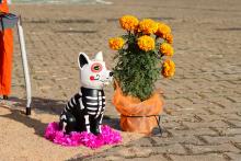 El Cusur celebra el Día de Muertos con creatividad y tradición en su Concurso de Altares 2025