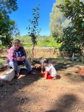 Promueve el CUSur la agricultura sustentable desde la infancia