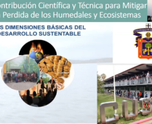 La ciencia y la tecnología pueden mitigar la pérdida de los humedales