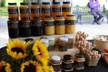 Celebran la 8va edición de la Feria Jalisciense de la miel