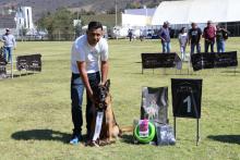 Presentan el Primer match de belleza canina en el CUSur