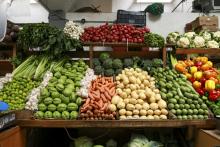 Hallan contaminantes en alimentos del Sur de Jalisco