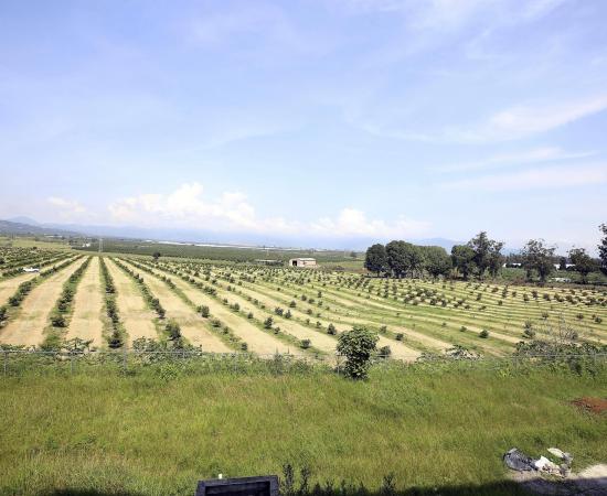 Analizan condiciones de vida de trabajadores agrícolas migrantes del Sur de Jalisco