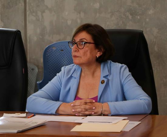 Se inauguró el Programa Mayo, Mes de las consultorías en CUSur