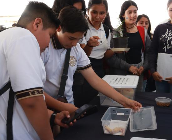 Más de 3 mil personas participan en la XII Feria de la Ciencia y la Tecnología en el CUSur