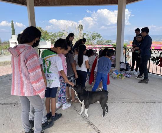 Entregan los juguetes recabados en el XXII Kilómetro del juguete
