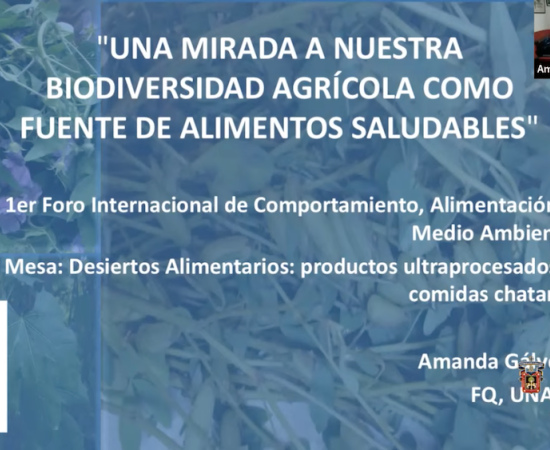 Investigadores del CUSur realizan el Primer Foro Internacional de Comportamiento, Alimentación y Medio Ambiente