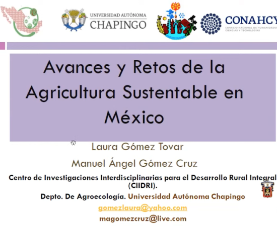 Investigadores del CUSur realizan el Primer Foro Internacional de Comportamiento, Alimentación y Medio Ambiente