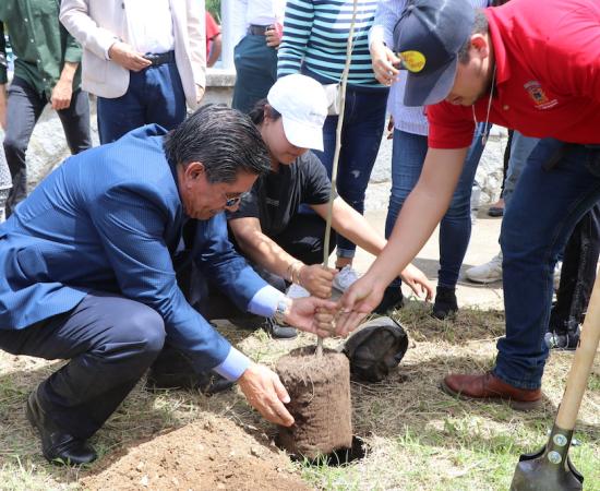 Plantan 55 árboles en la periferia del CUSur