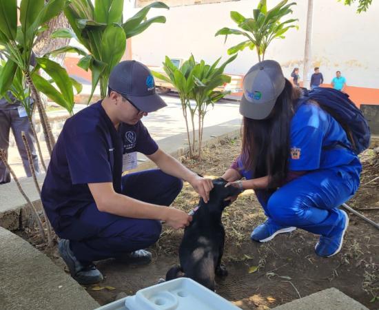 Brigada del CUSur apoya con vacunación antirrábica a municipio de Tonila