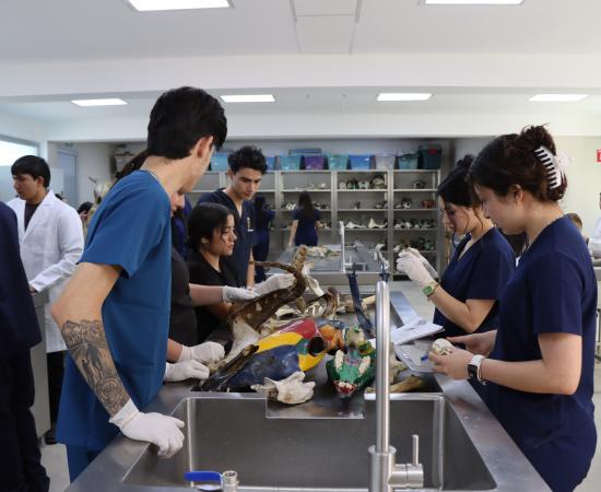 CUSur renueva laboratorios de salud con inversión superior a los 20 millones de pesos