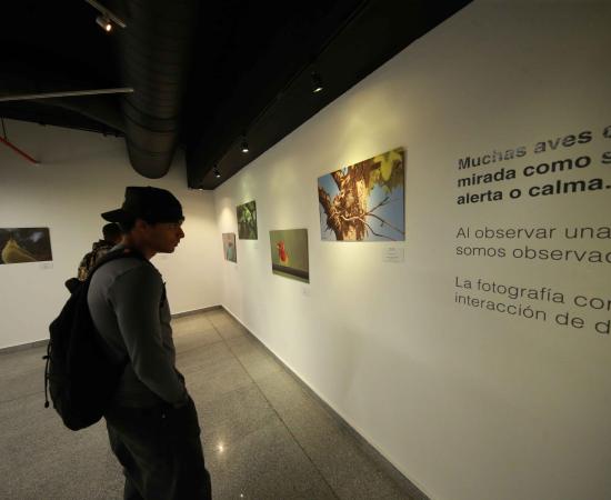 Inauguran “Miradas de la naturaleza”, exposición sobre la interacción de personas con la naturaleza