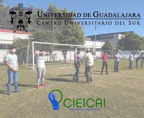 Cursos CIEICAI