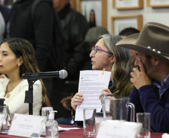 Rector general diputados presupuesto