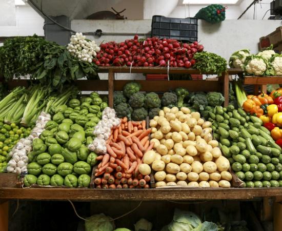 Hallan contaminantes en alimentos del Sur de Jalisco