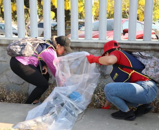 CUSur participa en 'Limpiemos Zapotlán' y recolecta un 41.57% menos en 2024