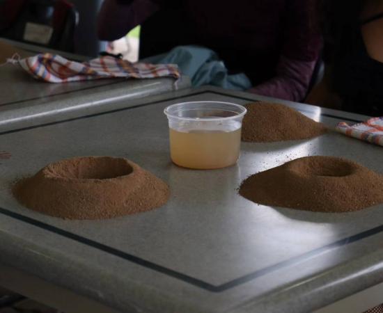 Se inauguró la cátedra de Letras Hispánicas con un análisis del ensayo mexicano