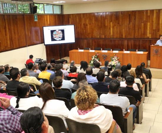 Primer informe de actividades División de Ciencias Exactas, Naturales y Tecnológicas