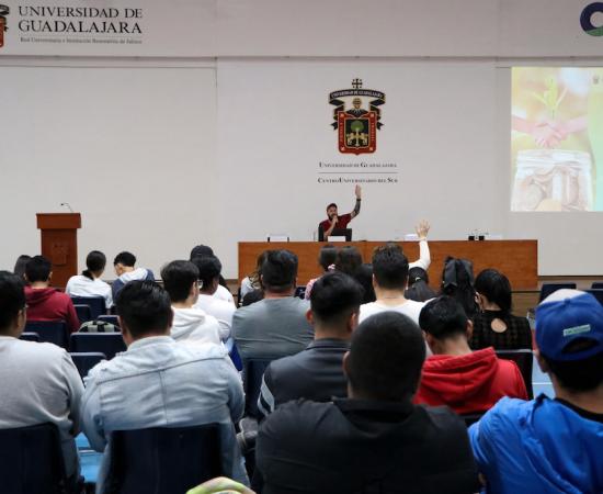 Conferencia Introducción al desarrollo económico con enfoque en las economías solidarias