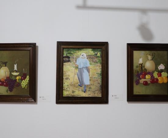 Exposición "Mi vida entre ríos, volcanes y el mar"