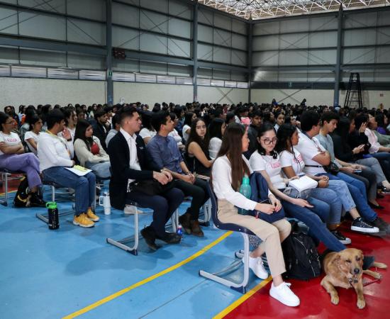 Conferencia contención emocional en caso de violencia