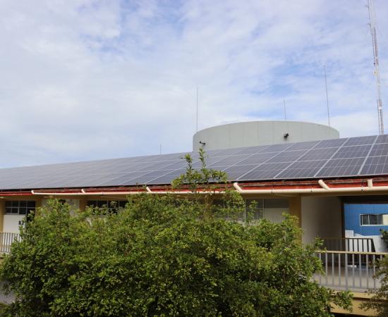 Tecnologías verdes y biodiversidad del CUSur
