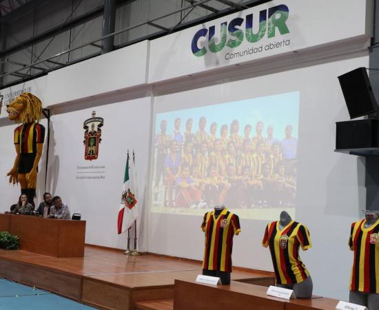 Coleccionista de camisetas Leones Negros