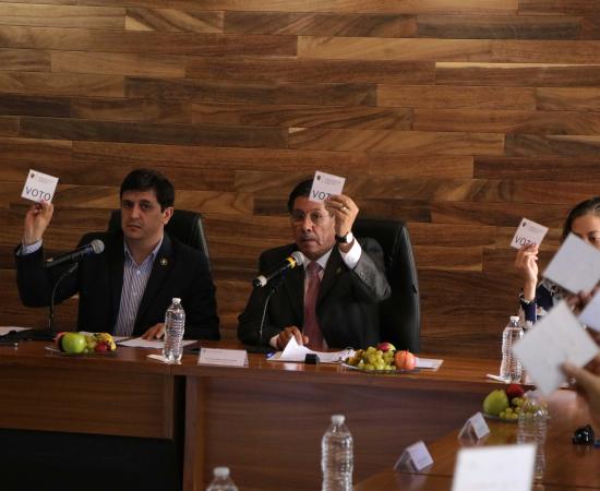 Tres perfiles con trayectoria institucional aspiran a la Rectoría del CUSur