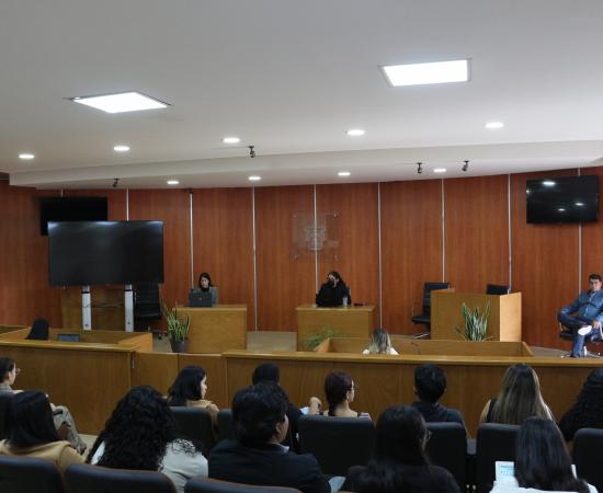 Primer simulacro de juicio mercantil oral en el CUSur