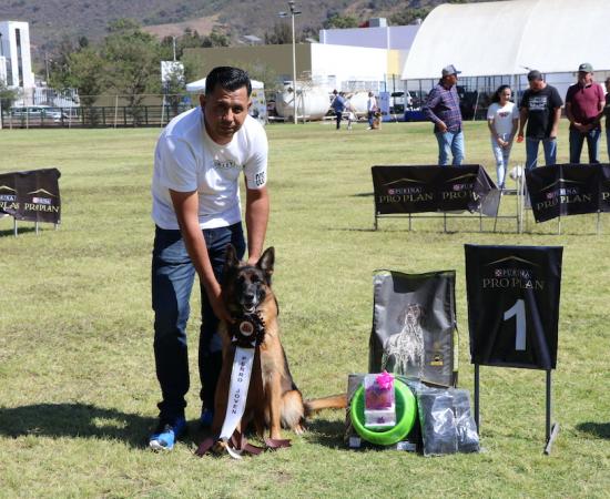 Primer match de belleza canina