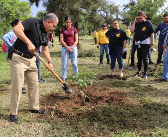 Reforestación en Zapotlán