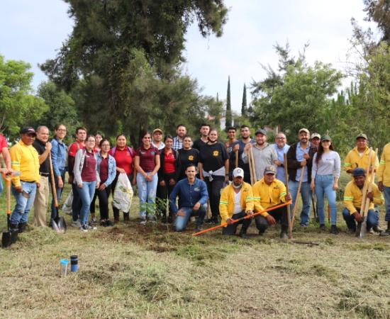 Reforestación en Zapotlán