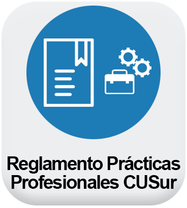 Reglamento de Prácticas Profesionales CUSur
