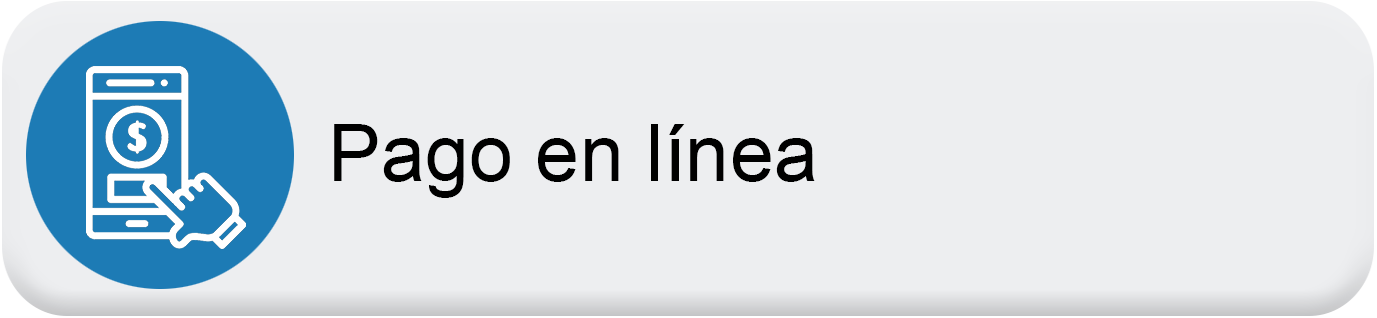 Pago en linea