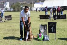 Primer match de belleza canina