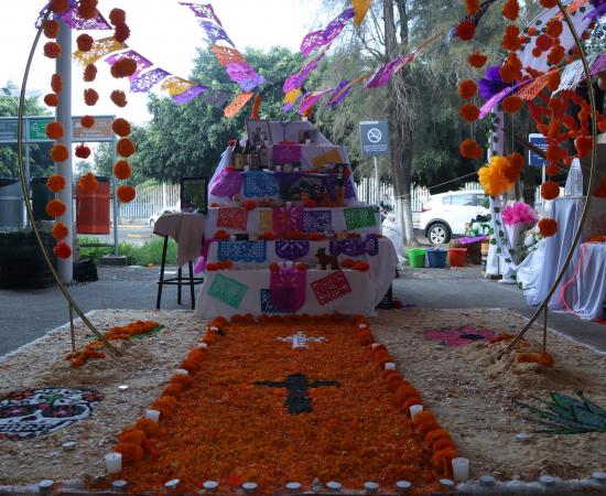 El Cusur celebra el Día de Muertos con creatividad y tradición en su Concurso de Altares 2025