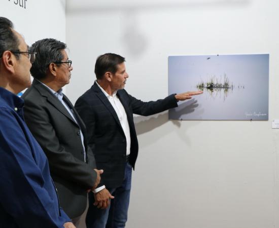 Exposición Belleza alada