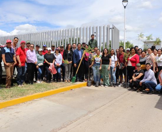 Reforestación CUSur