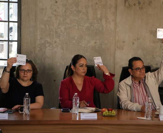 Tres perfiles con trayectoria institucional aspiran a la Rectoría del CUSur
