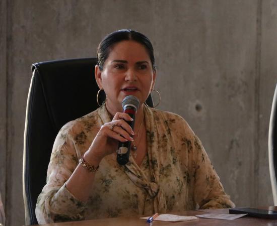 Tres perfiles con trayectoria institucional aspiran a la Rectoría del CUSur