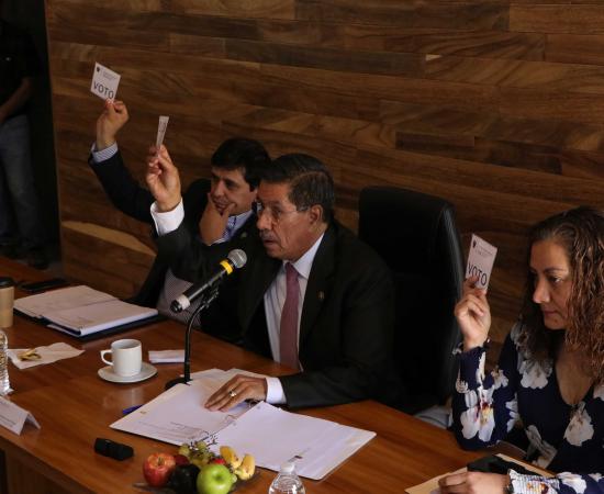 Tres perfiles con trayectoria institucional aspiran a la Rectoría del CUSur