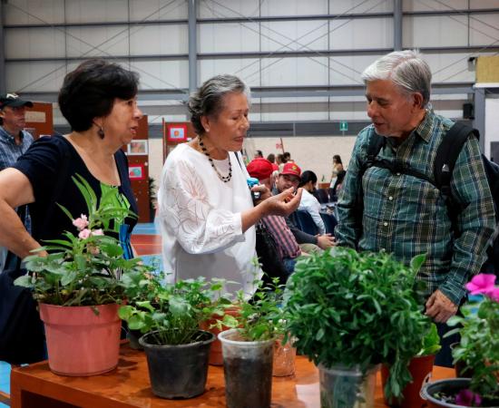 Exitoso cierre del ciclo 2024-A del SUAM con participación activa de adultos mayores