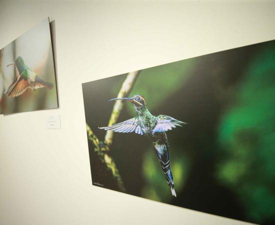 Inauguran “Miradas de la naturaleza”, exposición sobre la interacción de personas con la naturaleza