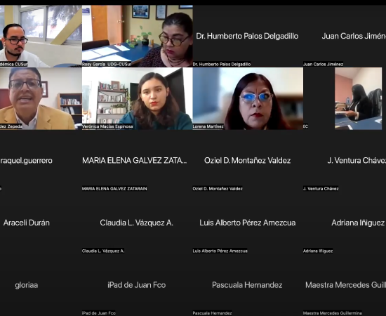 Cursos de actualización intersemestral