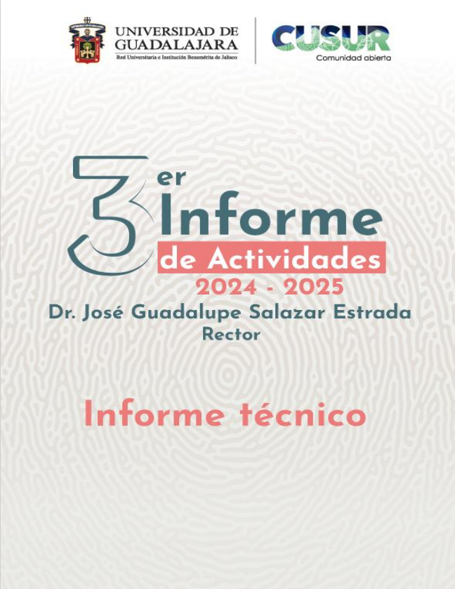 informe técnico 2024-2025