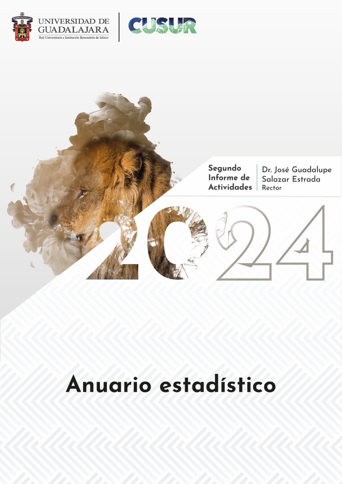 Anuario Estadístico 2024