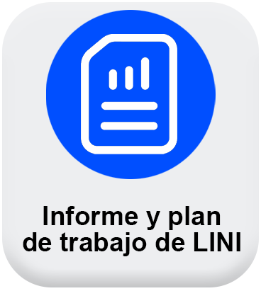 Informe y plan de trabajo de LINI