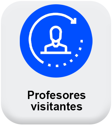 Profesores visitantes